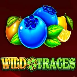 Play the Wild Traces slot by Amusnet Interactive on Wolf Casino